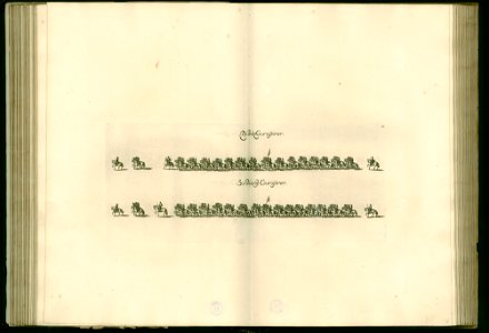 Iusta Funebria Serenissimo Principi Joanni Friderico Brunsvicensium Et Luneburge ... Platte (78)