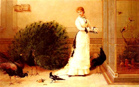 Hardy Heywood - The Aviary 1877