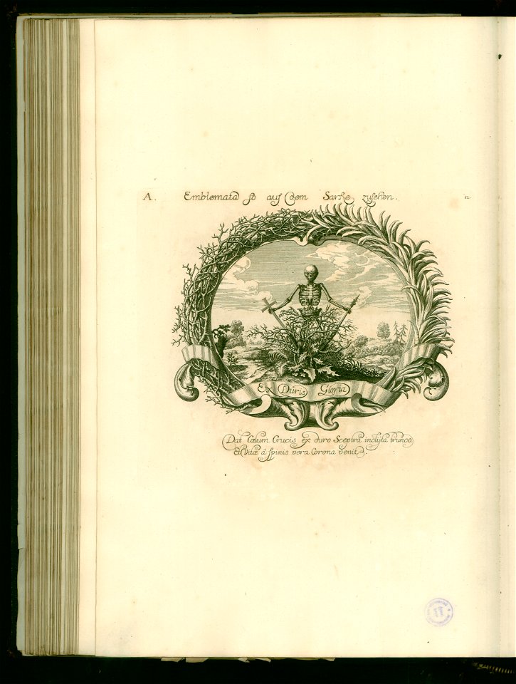 Iusta Funebria Serenissimo Principi Joanni Friderico Brunsvicensium Et Luneburge ... Platte (82)