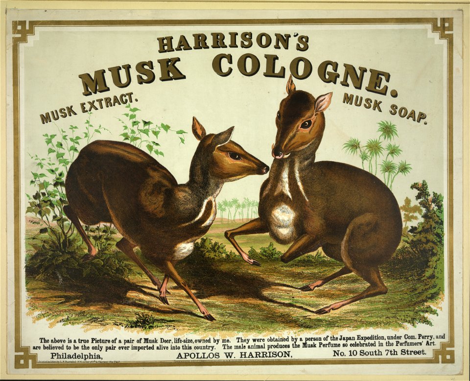 Harrison's musk cologne. Philadelphia (musk deer) LCCN2003680541
