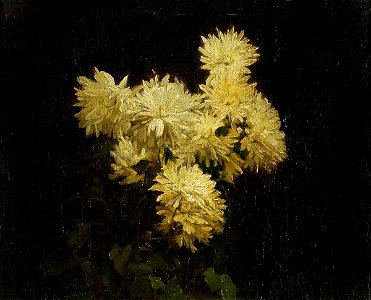 Henri Fantin-Latour (1836-1904) - Winter Blossoms - R.1940-17 - Ipswich Museum