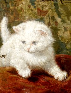Henriette Ronner-Knip Curiosity