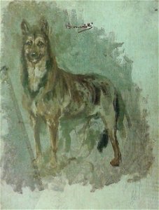 Henrique Bernardelli - Estudo de animal (Cão)