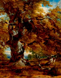Henry Dawson - The Major Oak