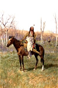 Henry Farney Crow Scouts