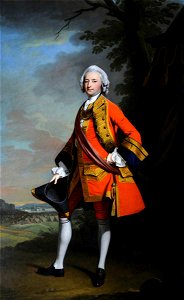Henry Pickering (c.1720-1770-1771) - Colonel Edmund Winn (1709–1763) - 960071 - National Trust
