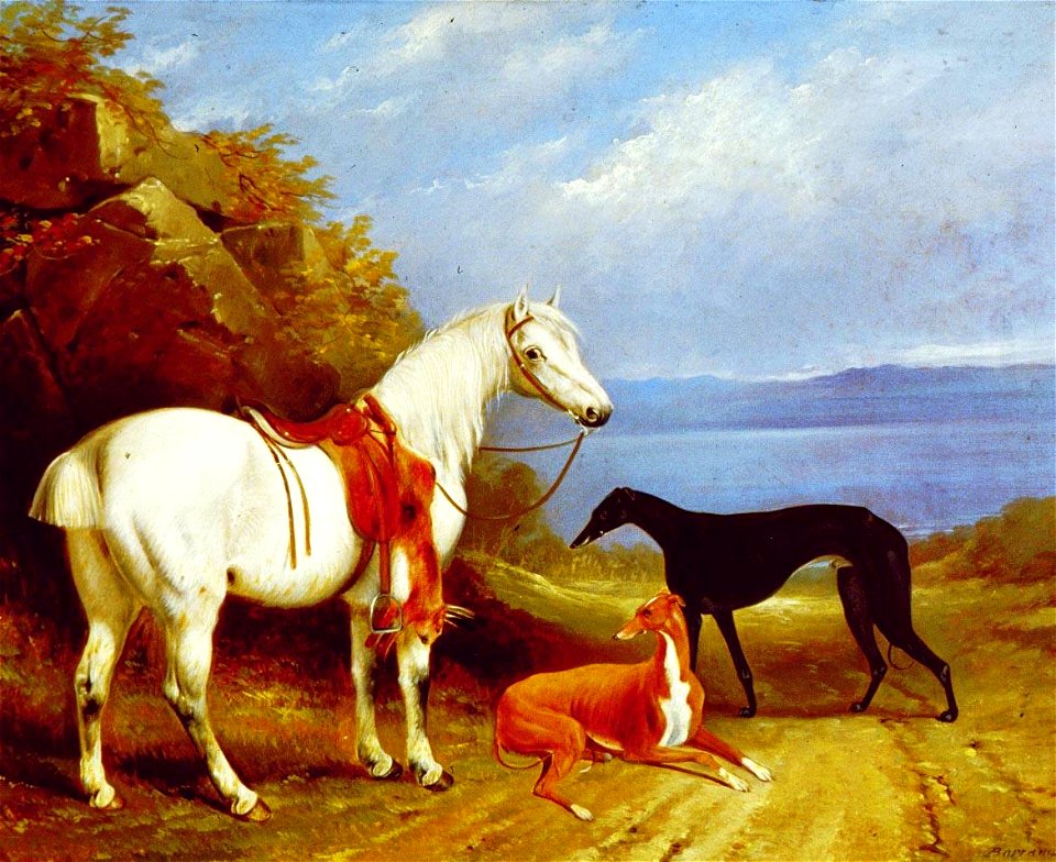 Henry Barraud - Untitled (The White Horse) Now thought to be The Rabbit - Sarjeant Gallery