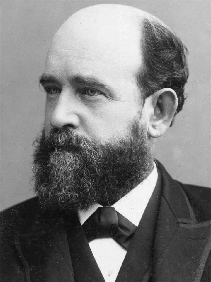 Henry George c1885 retouched (1)