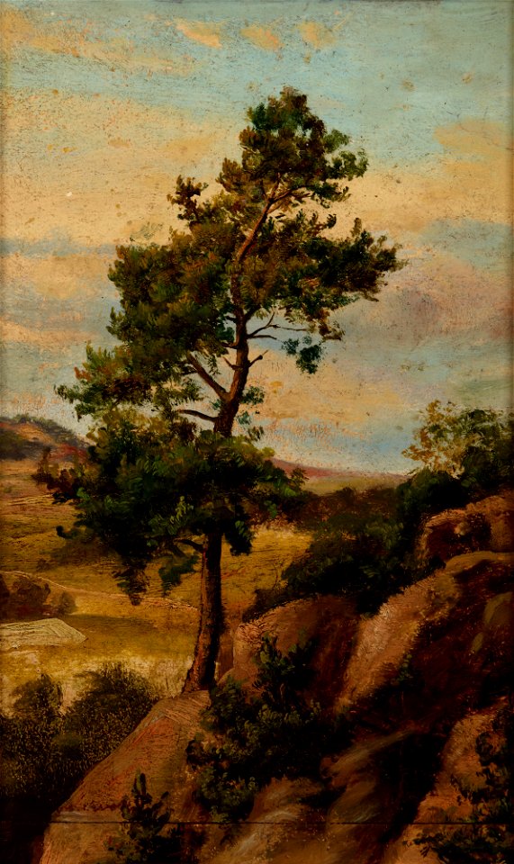 Henryk Grabiński - Stone Pine - MNK II-a-869 - National Museum Kraków