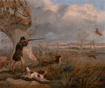Henry Thomas Alken - Duck Shooting - Google Art Project