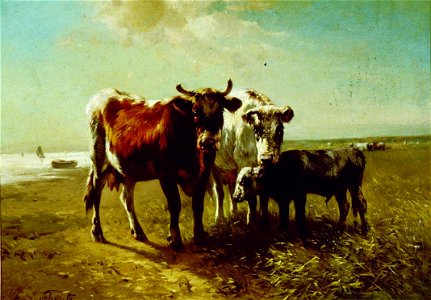 Henry Schouten - Cattle on a Beach - Sarjeant Gallery