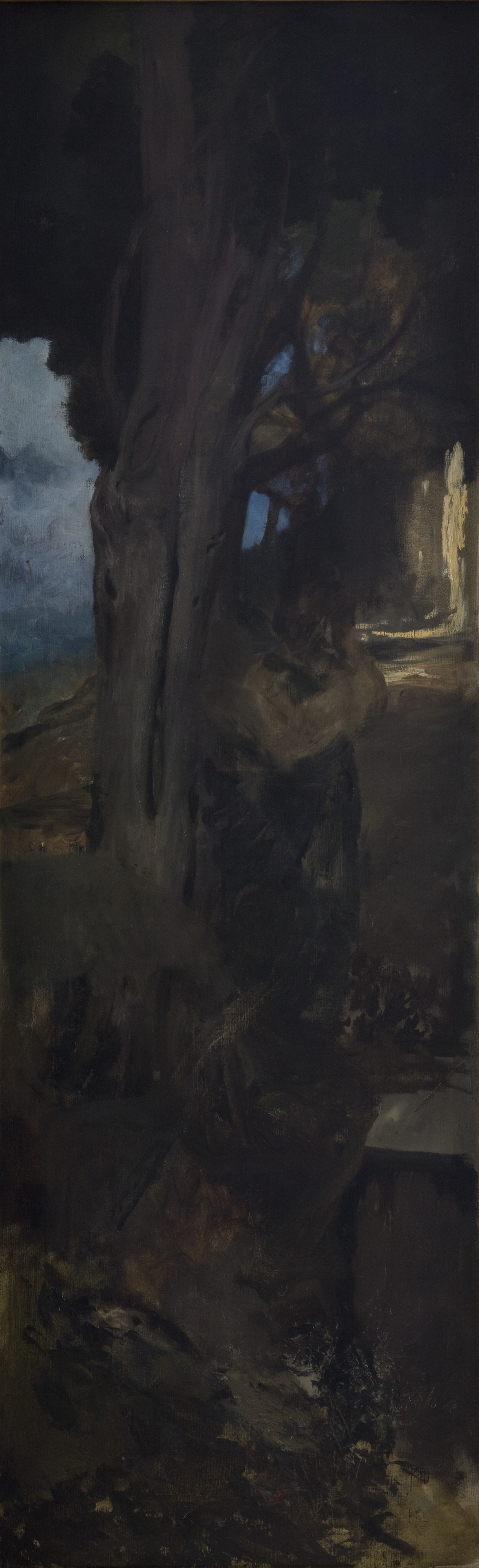 Henryk Siemiradzki - Study of a Tree from the Garden of Villa Aldobrandini in Frascati - MNK II-a-1173 - National Museum Kraków