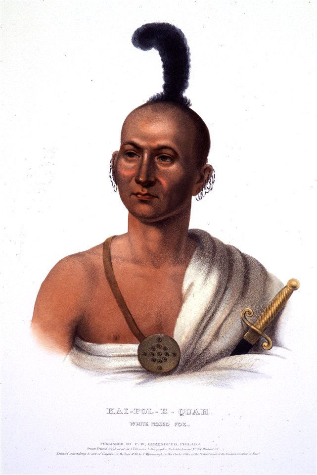 Henry Inman - Portrait of Kai-Pol-E-Quah