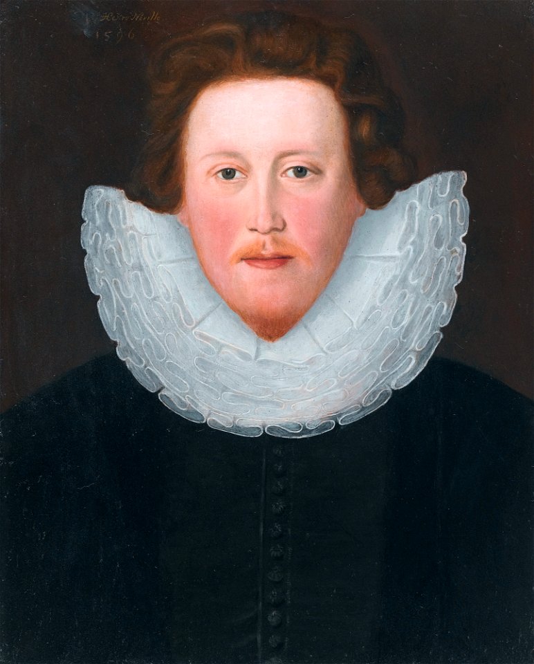 Henry Neville (1564-1615), circle of George Gower