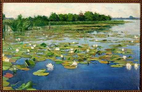 Henryk Weyssenhoff - Water lilies - MP 2252 - National Museum in Warsaw