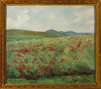 Henryk Weyssenhoff - Field of poppies - MP 215 MNW - National Museum in Warsaw