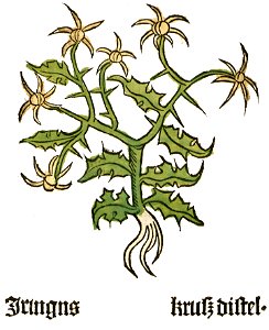 Herbarius Iringus