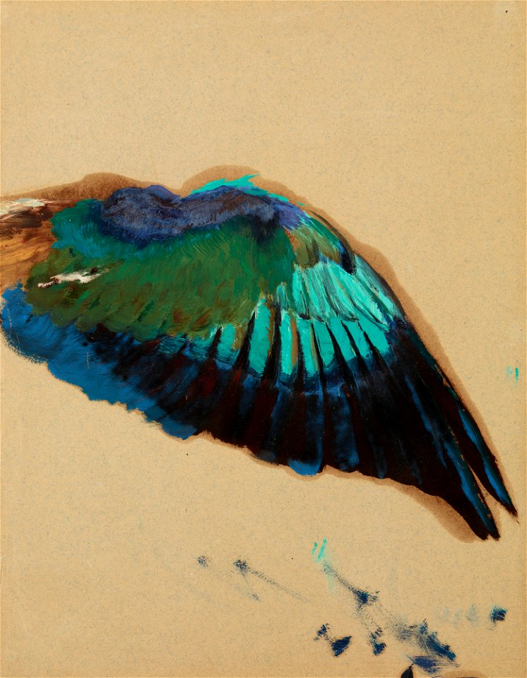 Henryk Siemiradzki - Study of a Wing – Study of a Fgure of Inspiration from the Curtain for the Municipal Theater in Lviv - MNK II-a-1206 - National Museum Kraków