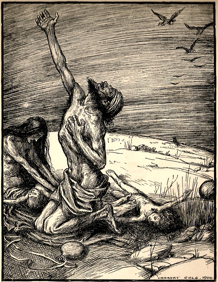 Herbert Cole Rubaiyat 11