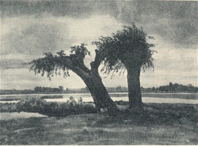 Henryk Grombecki Polish painter (1883-1933) An Old Willow Trees, painting of ca 1923, illustr. 27, p. 54