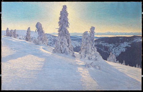 Hermann Dischler - Feldbergtannen in Eis und Schnee - 1178 - Staatliche Kunsthalle Karlsruhe
