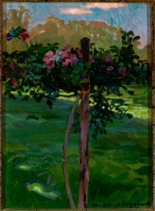 Henryk Szczygliński - Rose shrub - MP 882 MNW - National Museum in Warsaw