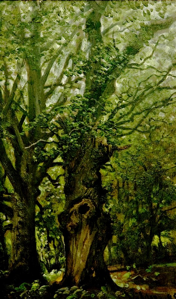 Hermann Eschke - Alte Eichen im Wald (Vilm) - BG-M 12112^14 - Berlinische Galerie