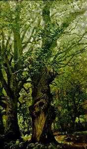 Hermann Eschke - Alte Eichen im Wald (Vilm) - BG-M 12112^14 - Berlinische Galerie