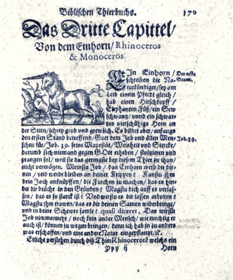 Hermann Frey Biblisch Tierbuch 1595 Einhorn (Isny)