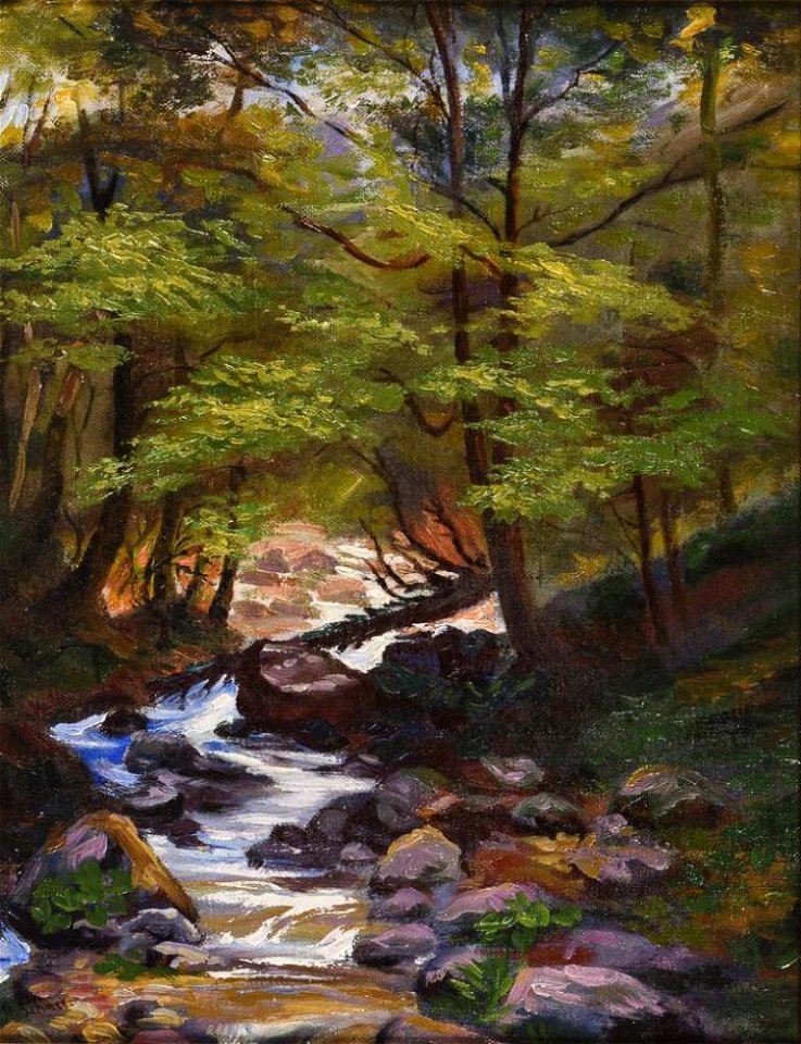 Hermann Schnee Waldbach im Harz