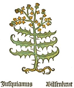 Herbarius Jusquiamus