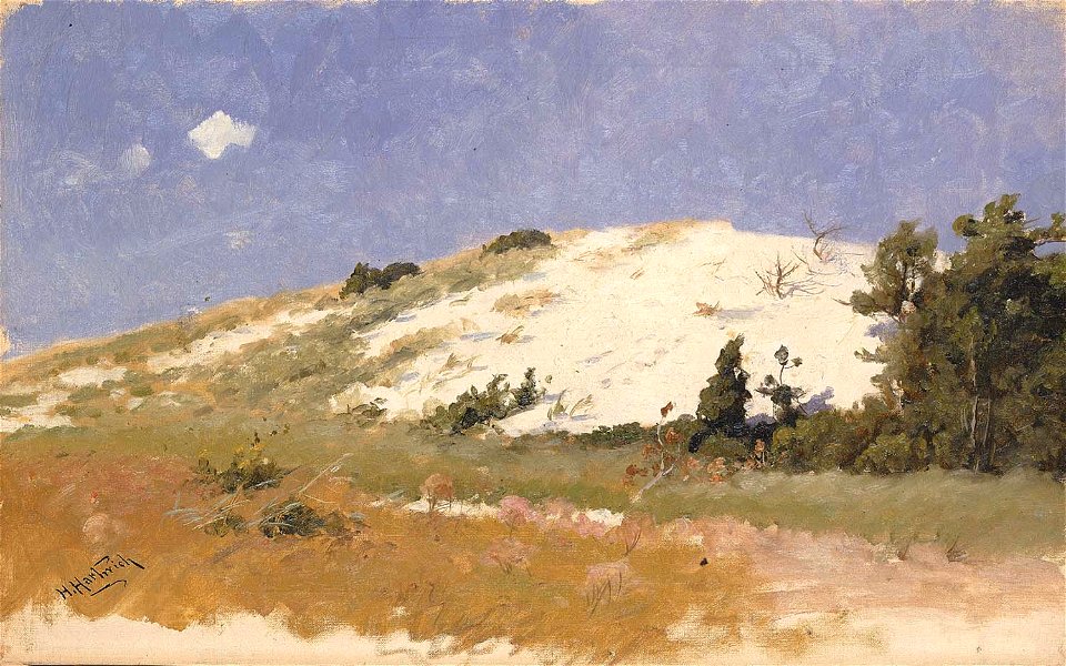 Herman Hartwich - Cape Cod, Sand Dune - 1965.14.1 - Smithsonian American Art Museum