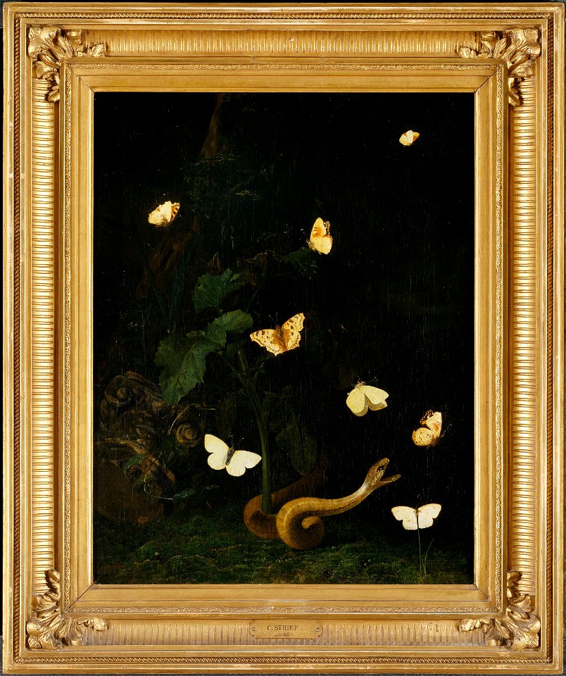 Herbs, Butterflies and a Serpent (Christian Jansz Striep) - Nationalmuseum - 17653