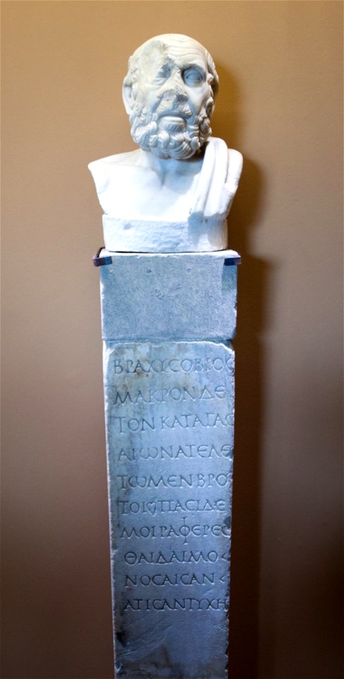 Herm-portrait of Hippocrates, Colosseum