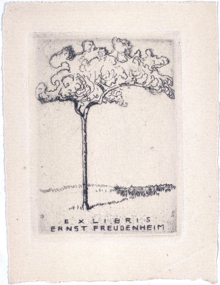 Hermann Struck Grafik JMBerlin 1999 99 0