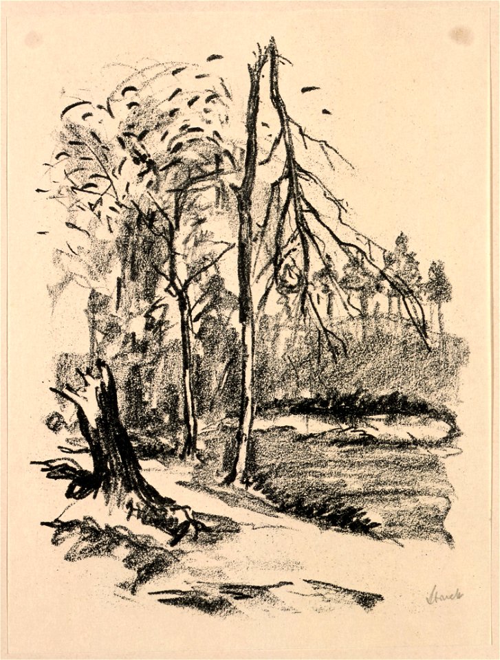 Hermann Struck Grafik JMBerlin 2002 235 15