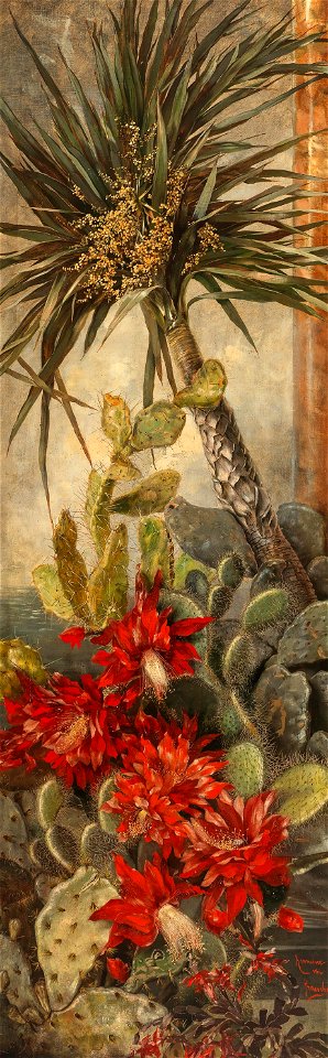 Hermione von Preuschen Yucca und Kakteen