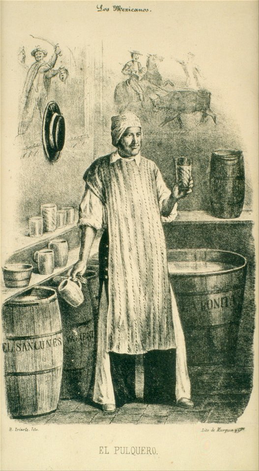 Hesiquio Iriarte - The Pulque Seller - Google Art Project