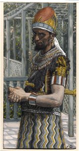 Herod tissot