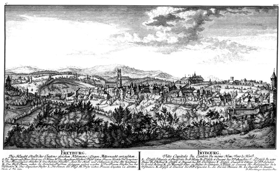 Herrliberger Freiburg