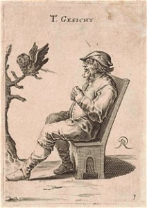 Het Gezicht