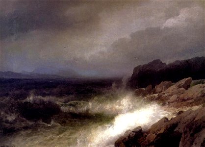 Herzog Herman Maine Coast Near Bar Harbor