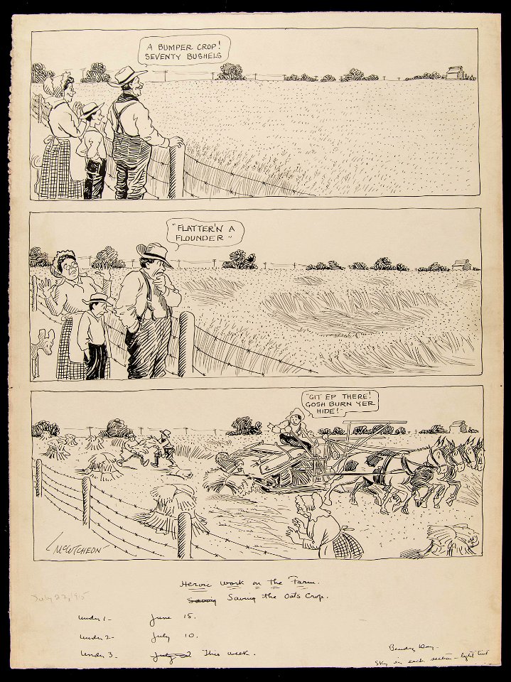 Heroic work on the farm; saving the oats crop, July 22, 1915 (NBY 5407)