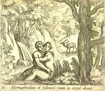 Hermaphroditus et Salmacis