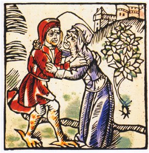 Hexerei - Buhlschaft mit dem Teufel