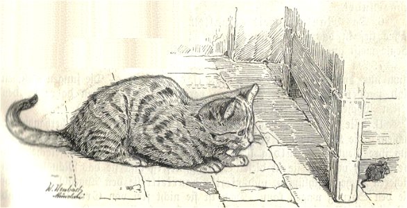 Heubach cat. Free illustration for personal and commercial use.