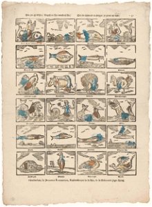 Hier ziet gy vissen - vogels en zee-monsters fijn - Tot uw vermaak en pleyzier zo groot als klijn -