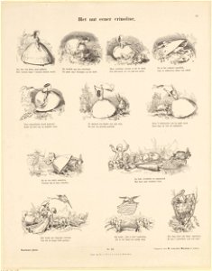 Het nut eener crinoline