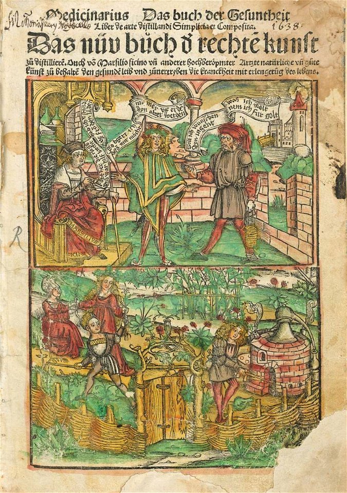 Hieronymus Brunschwig Das buch der Gesuntheit