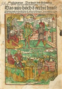 Hieronymus Brunschwig Das buch der Gesuntheit